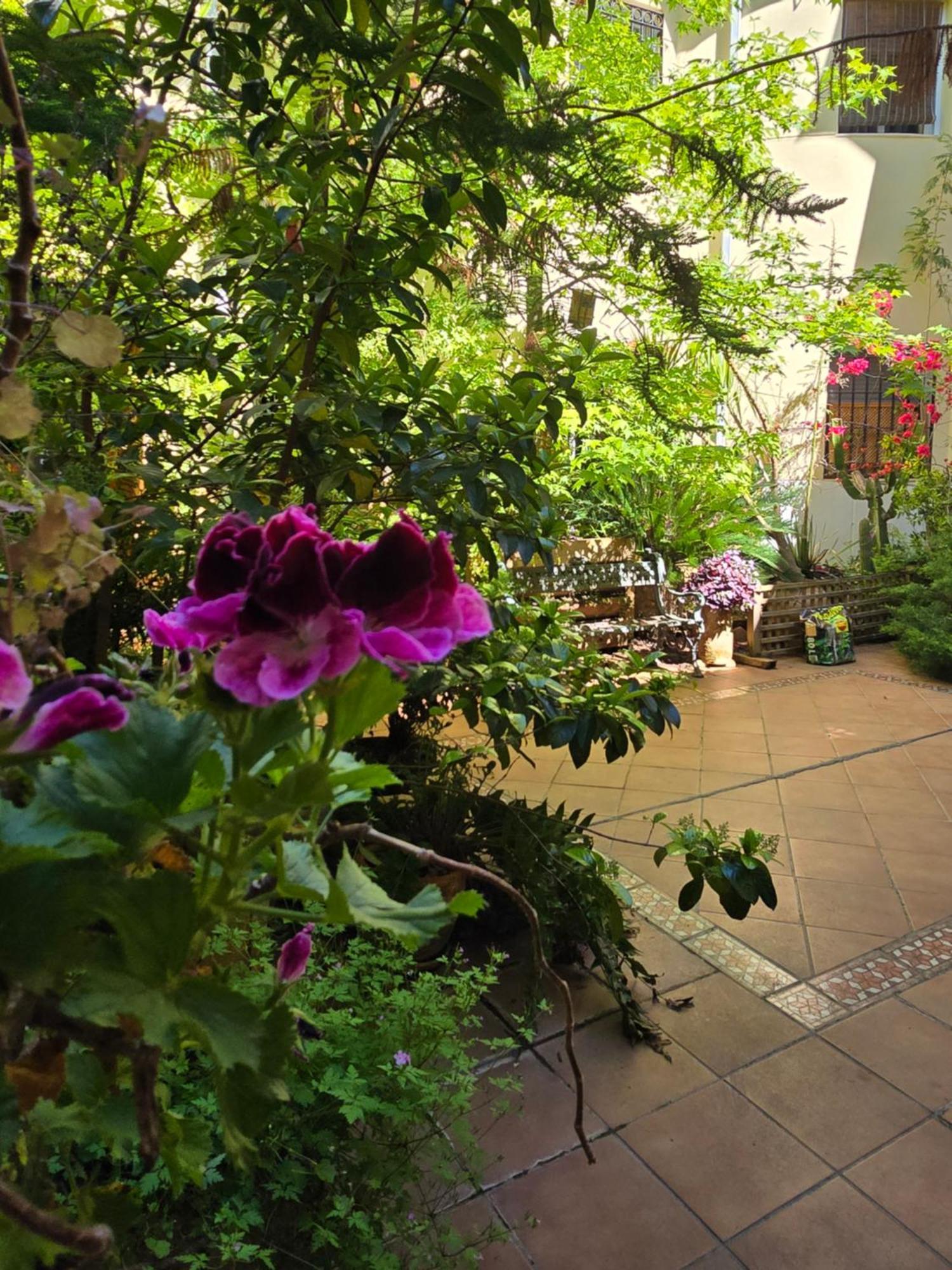 Apartamento Alma De Santa Marina Córdoba