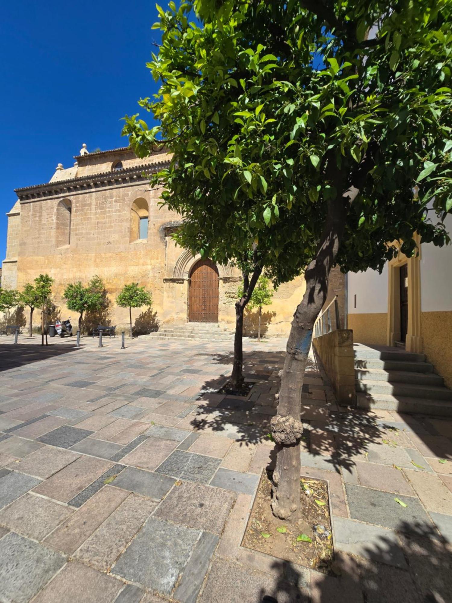 Apartamento Alma De Santa Marina Apartamento Córdoba