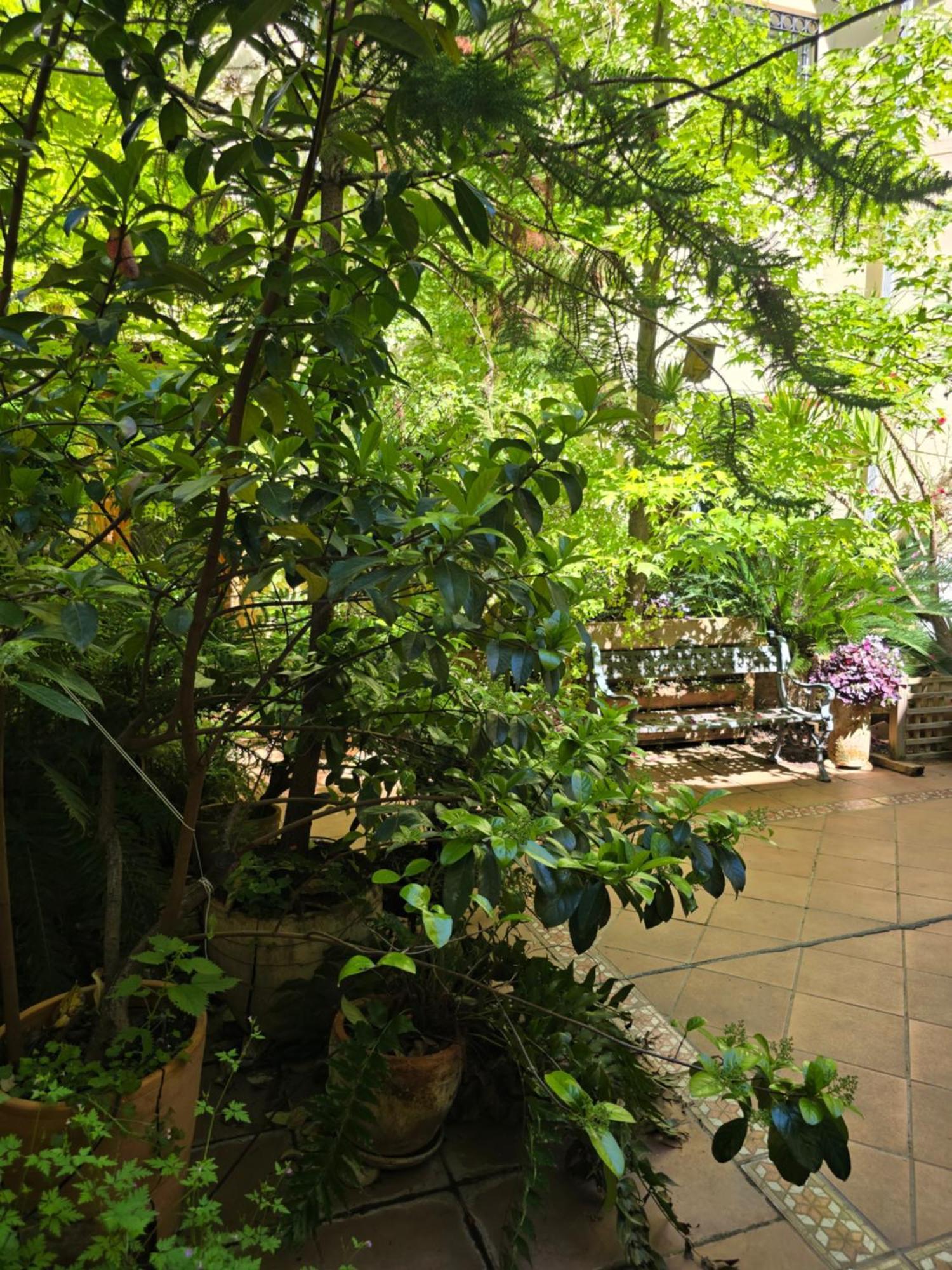 Apartamento Alma De Santa Marina