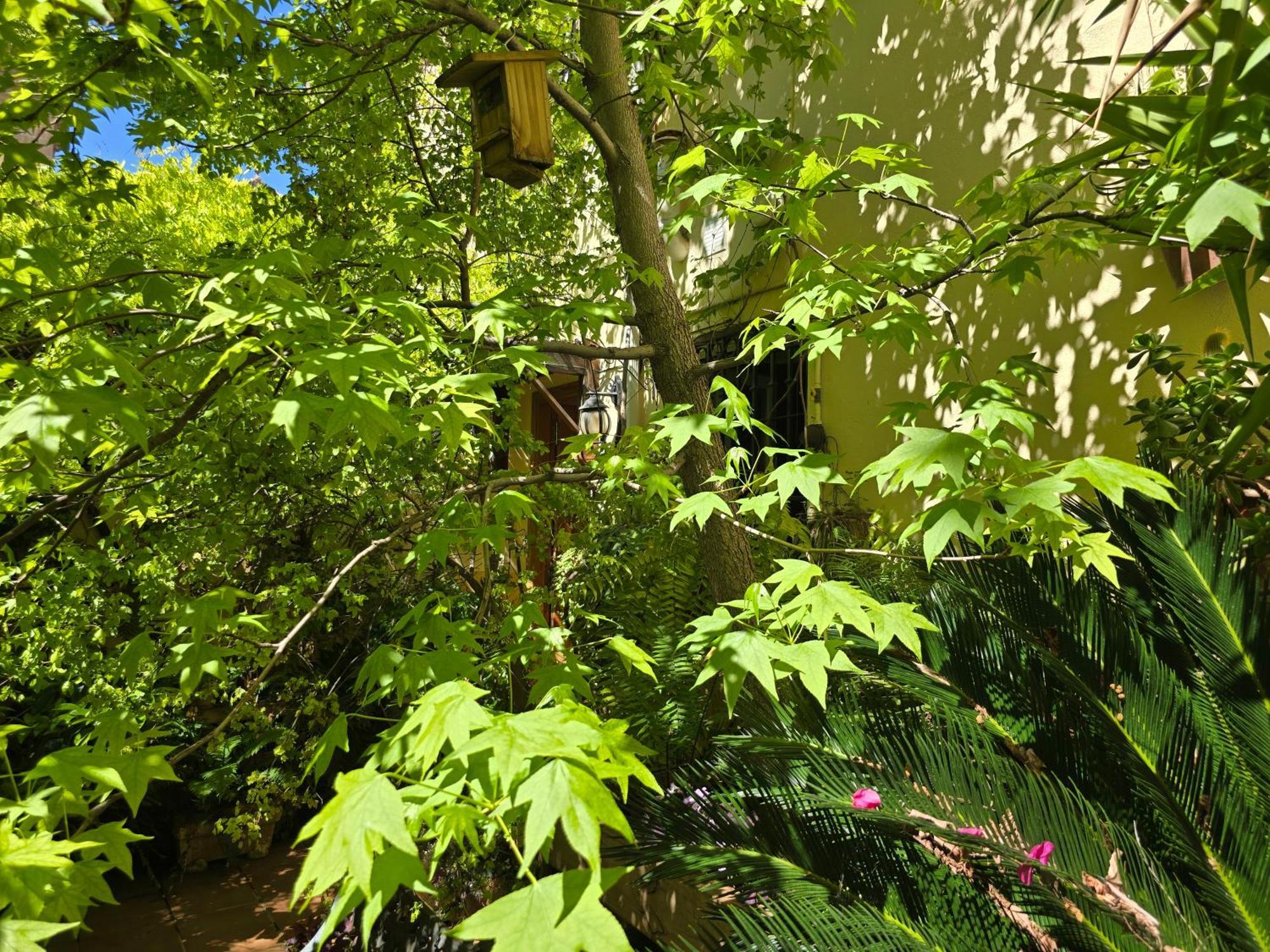 Apartamento Alma De Santa Marina Córdoba